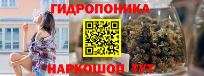 шишки Будённовск