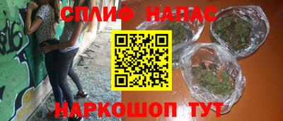 шишки Будённовск
