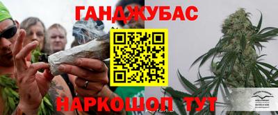 шишки Будённовск