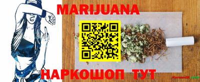 шишки Будённовск