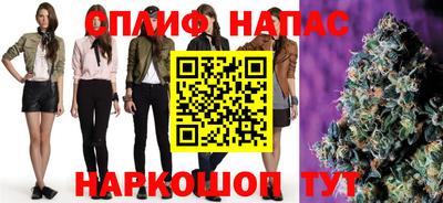 шишки Будённовск