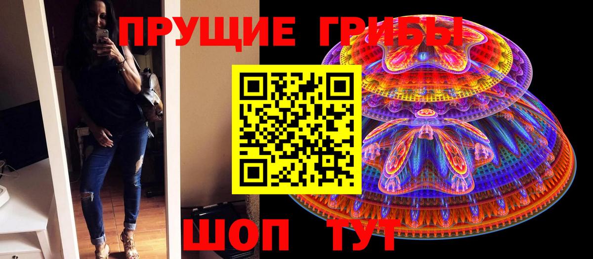 Киржач  Галлюциногенные грибы GOLDEN TEACHER  Вход с VPN 