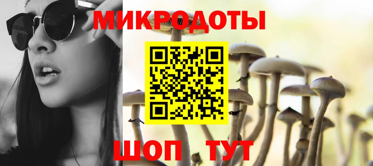 Псилоцибиновые грибы GOLDEN TEACHER Киржач